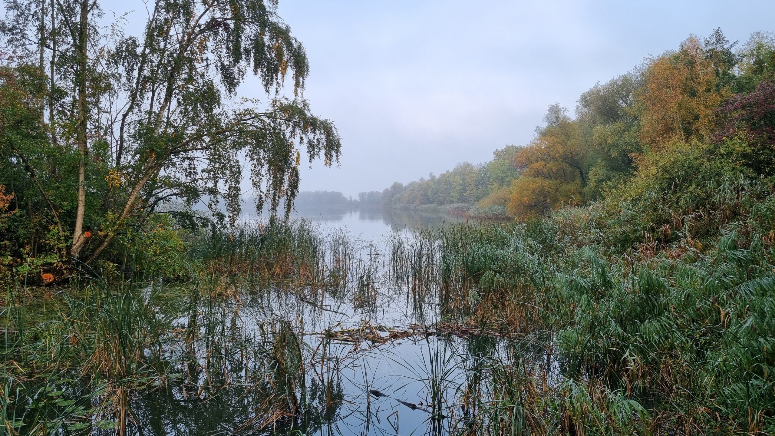 Waarom slaap verandert in de overgang en wat helpt